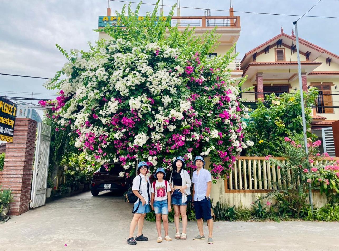 苹果蜜蜂家庭旅馆 峰牙 外观 照片