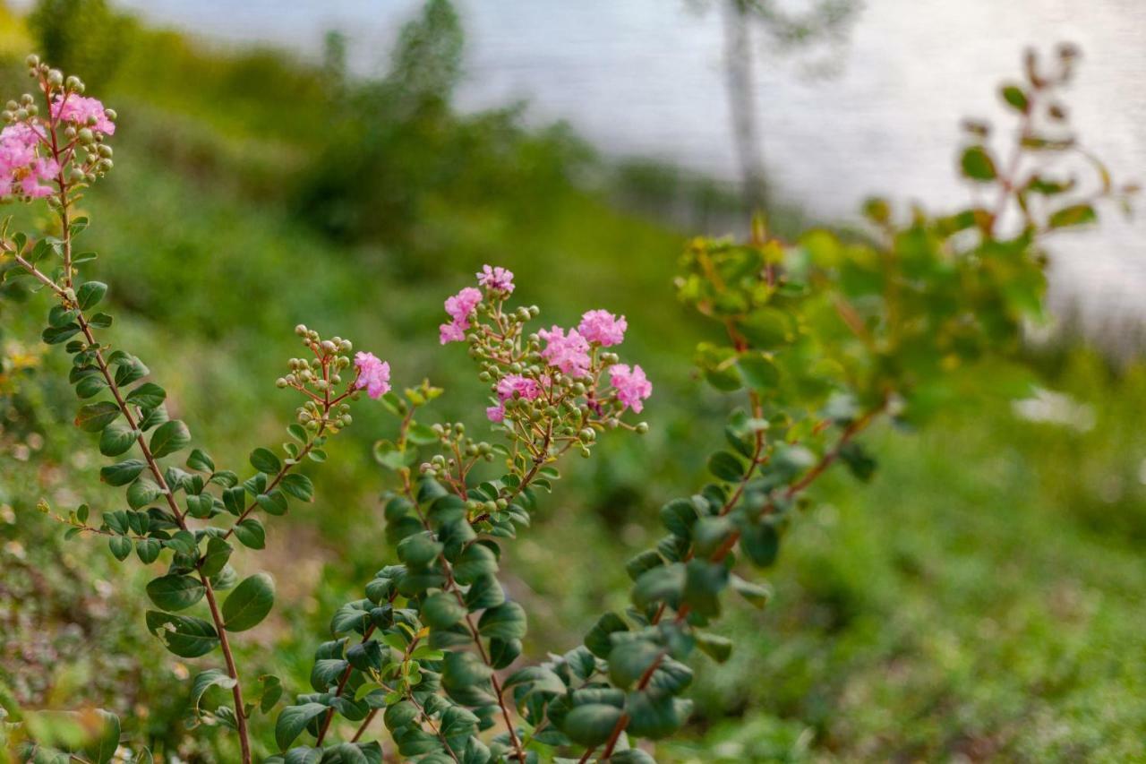 苹果蜜蜂家庭旅馆 峰牙 外观 照片